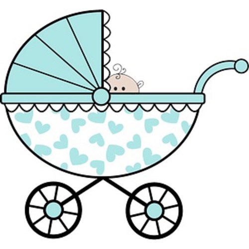 Baby Stroller/Car Seat Fund