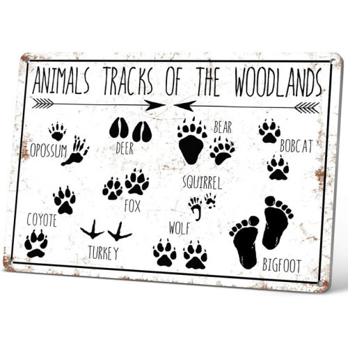 Winston Porter Animal Tracks Nursery Sign - Vintage Tin - Woodland And Forest Design, Log Cabin Decor, 8X12 Inch, Room Or Lodge Wall Art | Wayfair