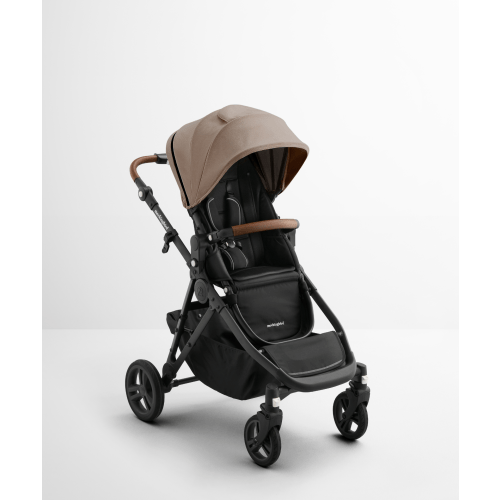 Single-to-Double Stroller 3.0