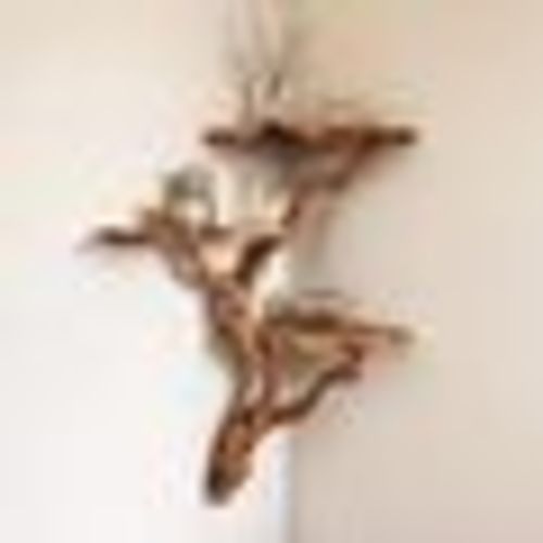 Driftwood corner wall shelf natural solidwood bookshelf art tree bracnh bookshelves unique floating shelves wall mount handmade furniture