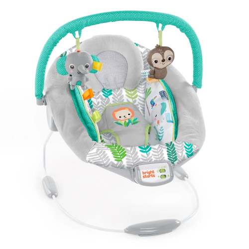 Bright Starts Comfy Baby Bouncer with Vibrating Infant Seat & Taggies