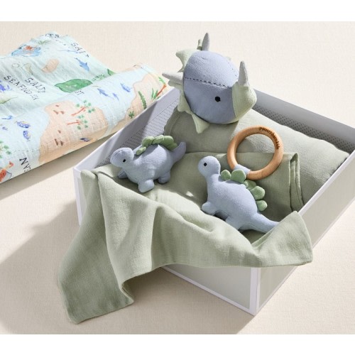 Dinosaur Muslin Gift Set