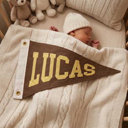 Custom Name Pennant Flag, Personalized Nursery Banner, Embroidered Kids Room Decor, Baby Shower Gift, Vintage Wall Hanging, Baby Name Sign