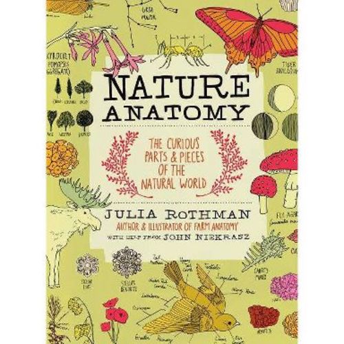 Nature Anatomy - by Julia Rothman (Paperback)
