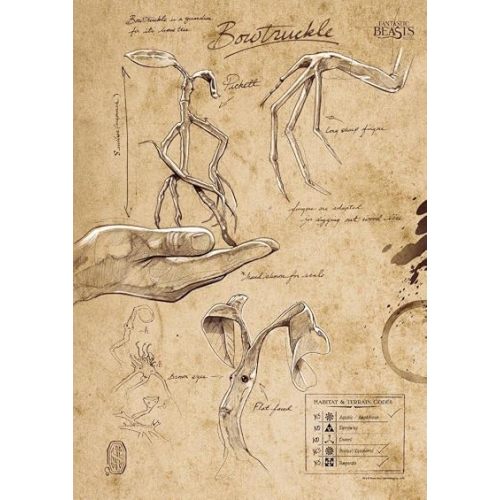 Fantastic Beasts And Where To Find Them Bowtruckle Wall Art
