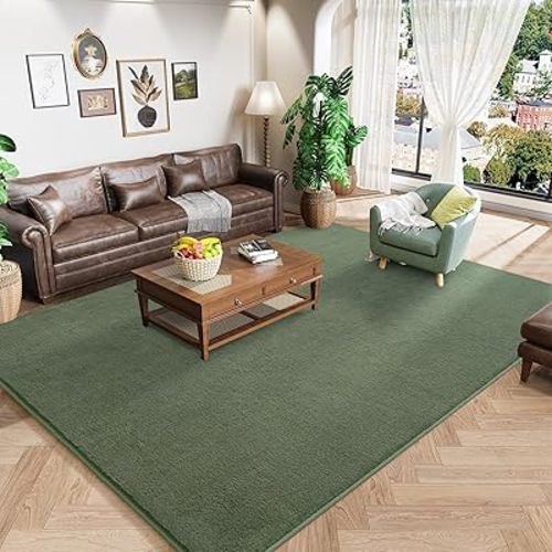 Amearea Modern Area Rugs for Bedroom Living Room, 4x6 Feet Sage Green Thickened Memory Foam Rug, Fluffy Indoor Washable Rugs Non Slip Minimalist Carpet for Kids Boys Girls Dorm Nursery Room Decor