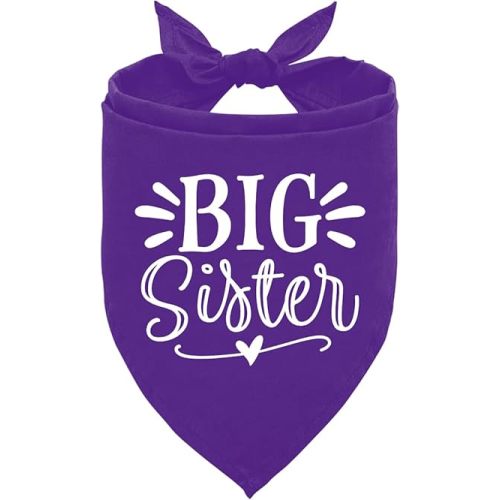 Big Sister Purple Dog Triangle Scarf, Dog Scarf Accessories (L)