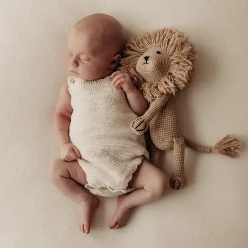 Leo the Lion Crochet Toy