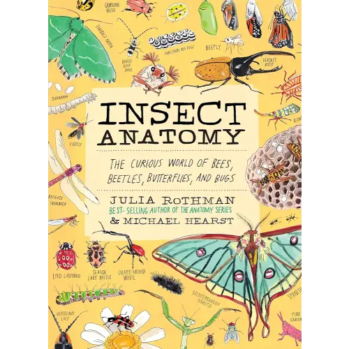 Insect Anatomy: The Curious World of Bees, Beetles, Butterflies, and Bugs