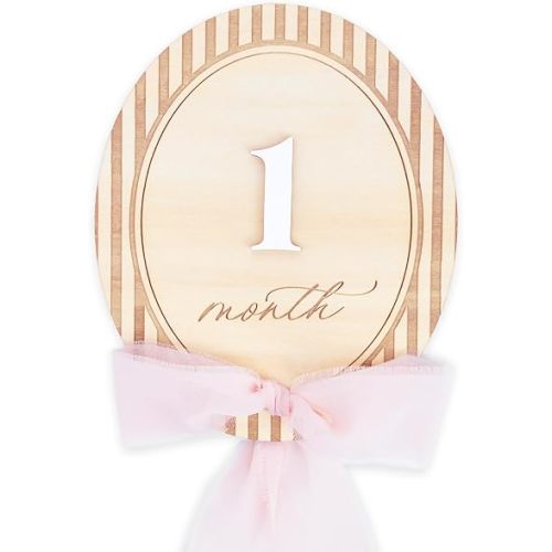 Baby Milestone Signs 1–12 Months, Monthly Milestone Markers, Newborn Photo Props, Baby Growth Photo Cards, Nursery Decor (Bow D39)