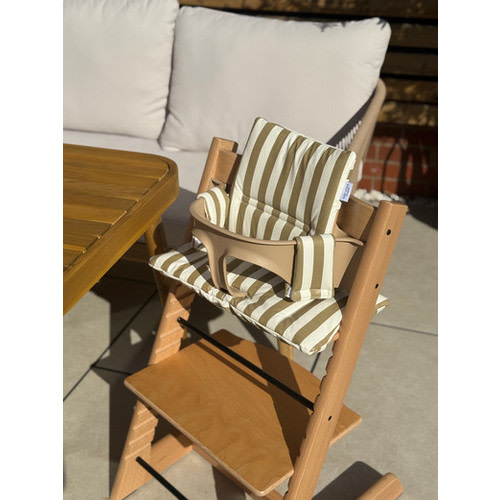 Olive Stripe 2 in 1 Cushion