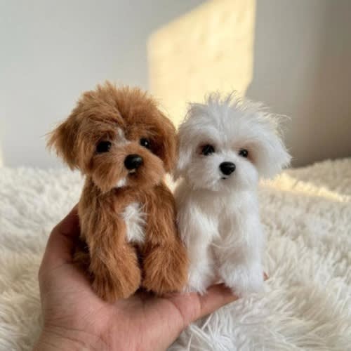 Handmade Maltipoo Mini Plush | KeyChain | Bag Charm | Collectible | Dog Keepsake Gifts