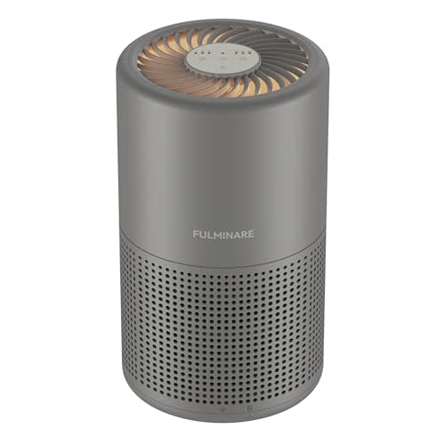 FULMINARE Air Purifiers for Bedroom H13 True HEPA Air Filter, Quiet Air Cleaner With Night Light, Portable Small Air Purifier for Home, Office, Living Room (Gray)