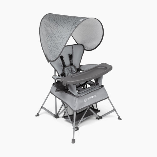 Baby Delight Go With Me Venture Deluxe Portable Chair - Elephant Grey