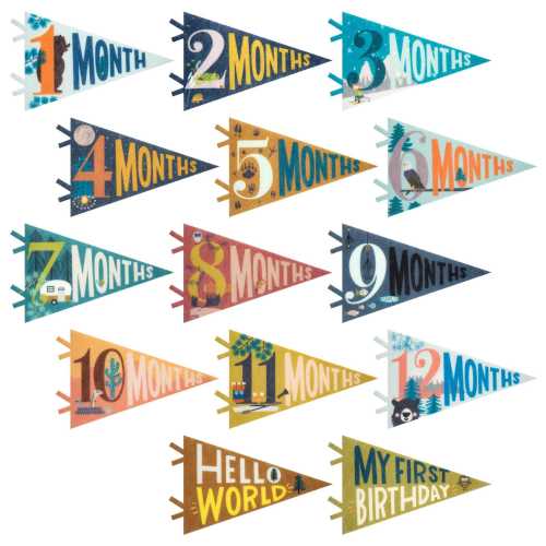 Little Camper Baby Milestone Pennant Set - Monthly Photo Props, Birth to 12 Months