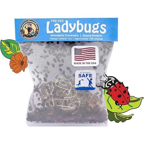 NaturesGoodGuys - Live Ladybugs -150 Live Ladybugs