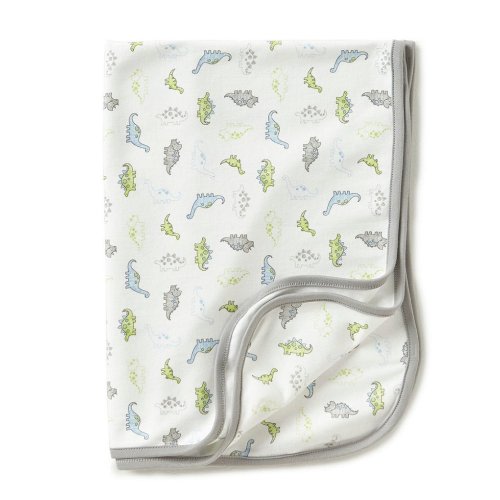 Little Me Baby Boys Tiny Dinos Receiving Blanket