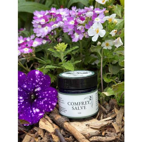 Comfrey Salve - TRAVEL SIZE (1 oz)
