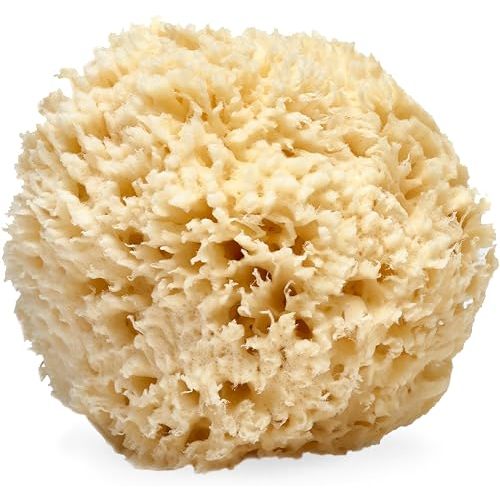 LATHER - Natural Sea Wool Sponge, 5-6" - Organic Exfoliating Body Scrubber - Soft, Gentle Cleansing - Hypoallergenic - All Skin Types - Florida Natural Loofah Sponge - Cruelty Free - Beauty & Skincare