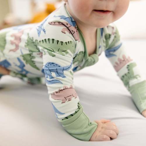 Larkspur Baby | Romper Pajamas | Convertible Footed Romper in Prehistoric Pals