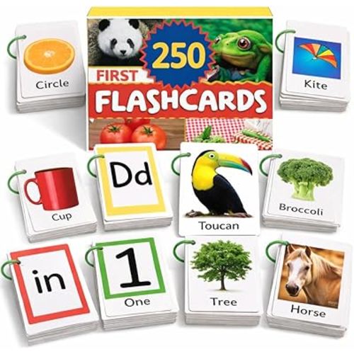 500 Words Thick & Sturdy Learning Flash Cards for Toddlers 1-3 with Rings - 1 Year Old Girl Gifts - Educational & Montessori Toys for 1 Year Old boy - Toddler Flashcards for Preschool & Kindergarten