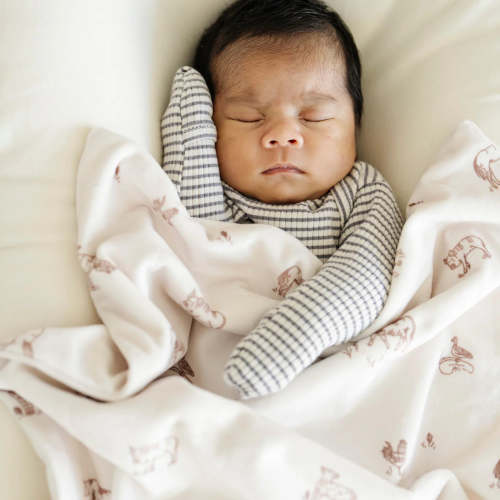 Farm Animals Minky Lush Blanket - Receiving