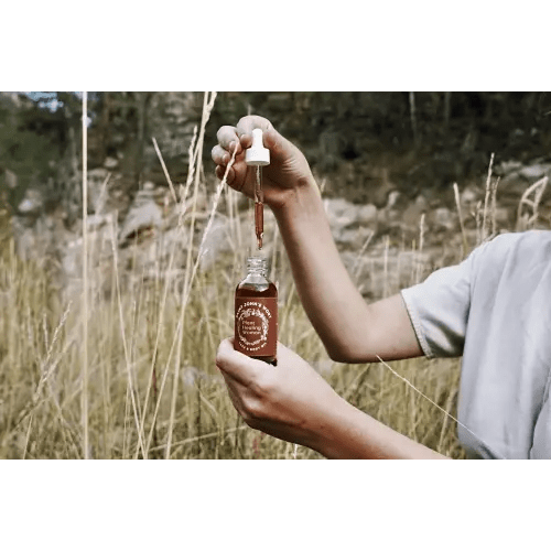 Saint Johns Wort Oil — Plant Healing Woman