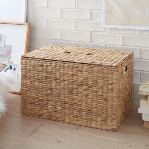 Hudson Woven Trunk