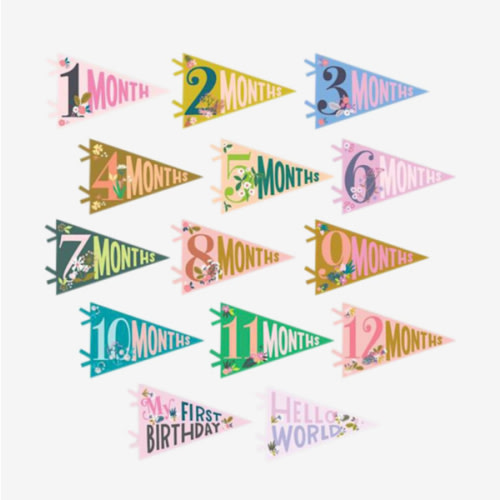 Little Artist Petit Milestone Pennants – Lucy Darling