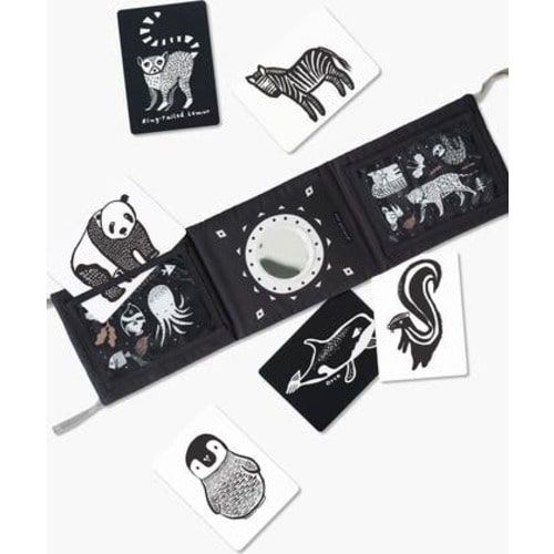 Tummy Time Gallery with Mirror and Art Cards for Baby Bundle