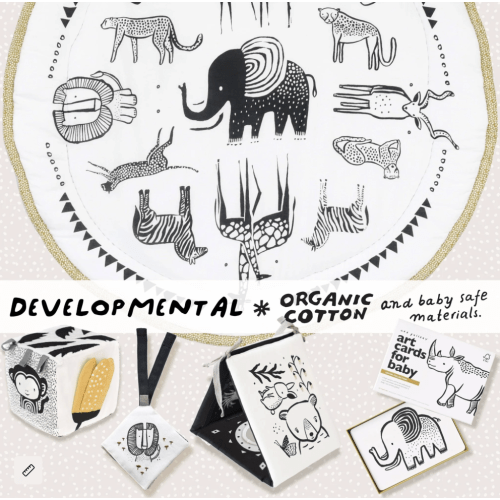 Developmental Bundle for Baby - Safari
