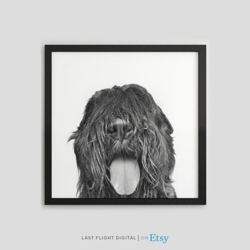 Dog Print, Bouvier des Flandres, Dog Poster, Puppy Print, Puppy Poster, Kids Room, Nursery, Black White Photo, Bouvier Print, Bouvier Poster