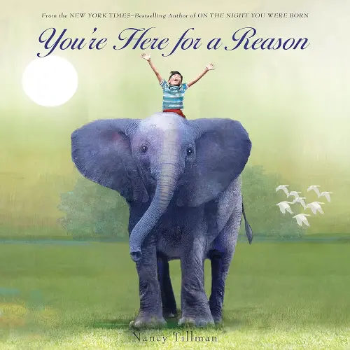 You're Here for a Reason (Nancy Tillman Collection)