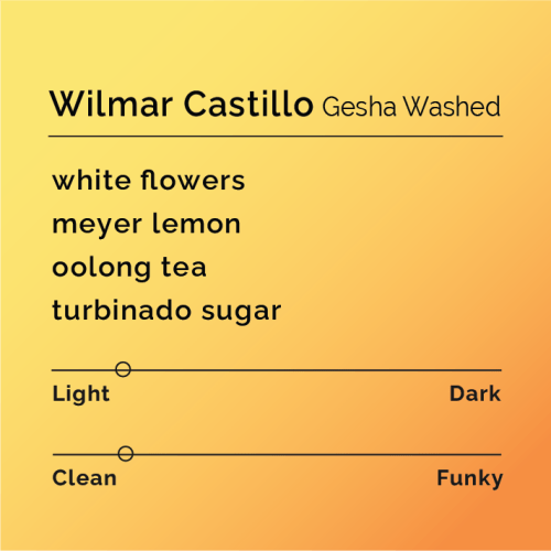 Wilmar Castillo - Gesha Washed