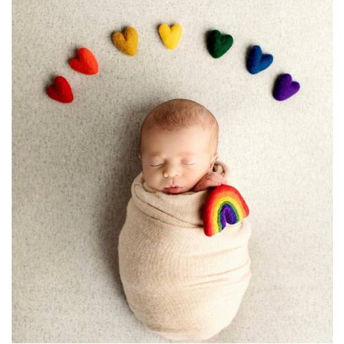 rainbow baby needle felted rainbow baby newborn photography prop felt