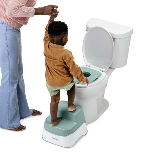 Ingenuity Prepare to Potty 3-in-1 System - for toddlers ages 18 months+
