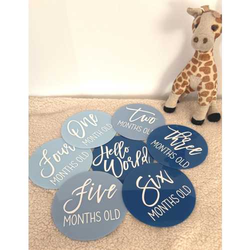 Blue Baby Bloom Acrylic Baby Milestone Discs: Hand-Painted Photo Props, Keepsake Set