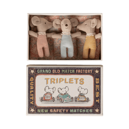 Triplets, Baby mice in matchbox