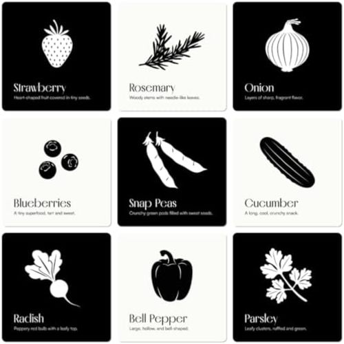 Garden for Baby High Contrast Art Flashcards Toy Pack of 10