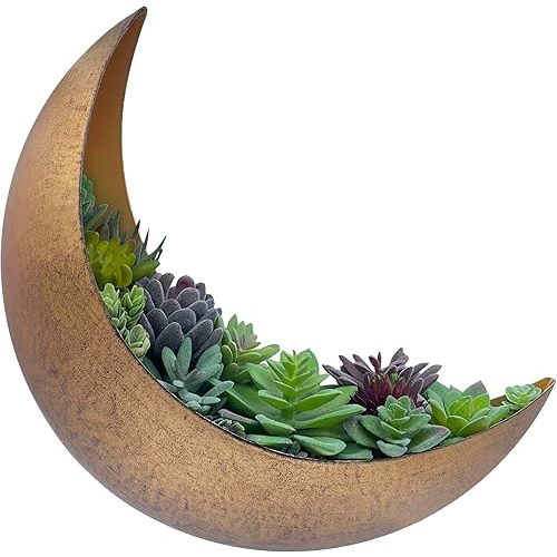 Wall Mounted Metal Moon Planter - Hanging Crescent Pot for Succulents, Air Plant, Cactus - Boho Indoor Outdoor Moon Wall Decor - Witchy Plant Gifts - Rustic Gold