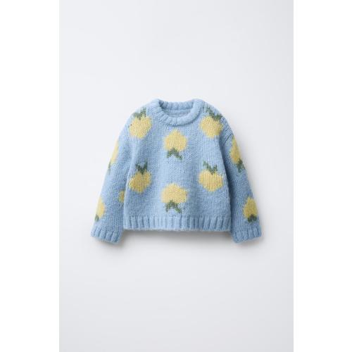 FRUIT PRINT WOOL BLEND KNIT SWEATER - Light blue | ZARA United States