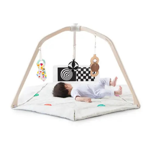 The Play Gym | Baby Activity & Tummy Time Mat | Lovevery Australia