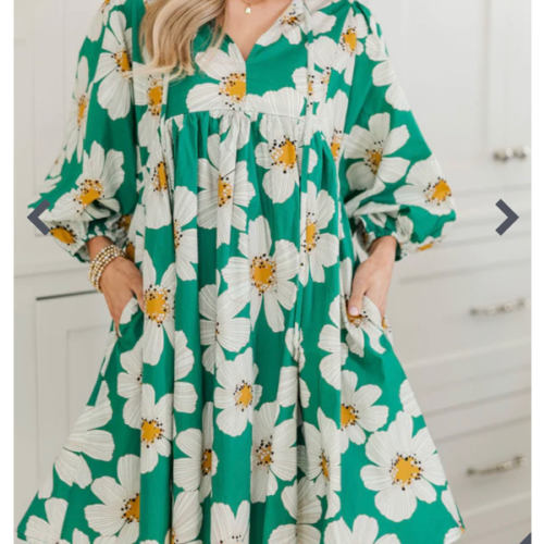 NURSING COLLECTION: It's All True Emerald Floral Dress