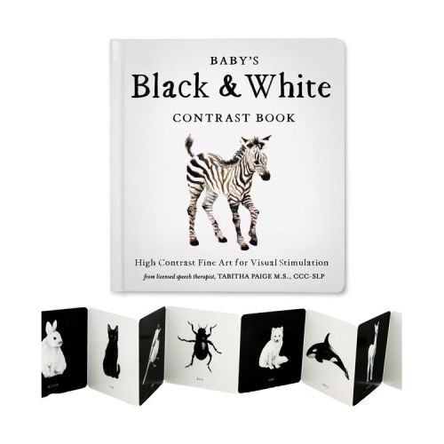 Baby's Black and White Contrast Book - (Tabitha Paige Children's Book) by Tabitha Paige (Board Book)