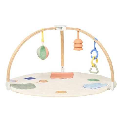 The Play Gym II