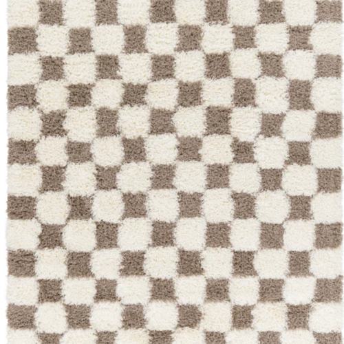 Molly Checkered Indoor Rug