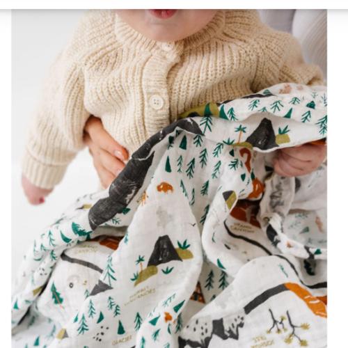 National Parks Swaddle (Mini Pattern)