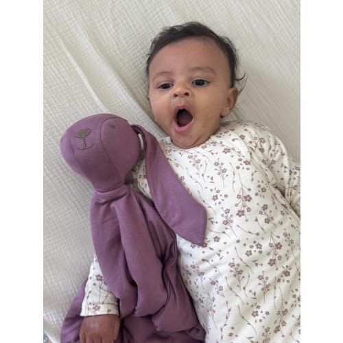 LOVEY DOG and BUNNY – N'tended for Kids and Dance Too