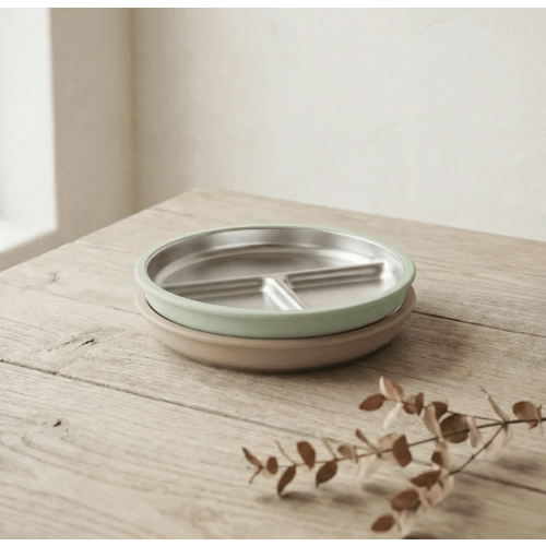 Stainless Steel Plate Set of 2 (Mocha Mousse & Sage Green)