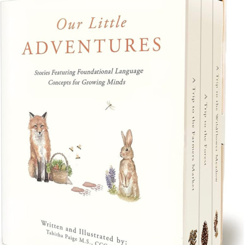 Our Little Adventures: Stories Featuring Foundational Language Concepts for Growing Minds (Tabitha Paige Children's Book Series)